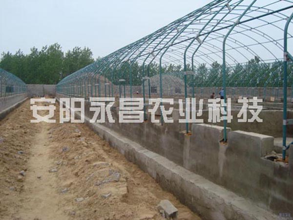 养殖大棚