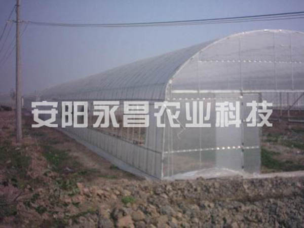 蔬菜大棚