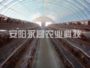 养殖大棚