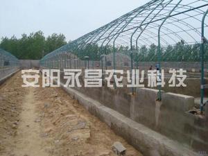 养殖大棚