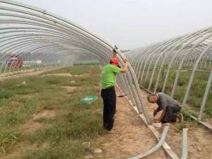 方管大棚