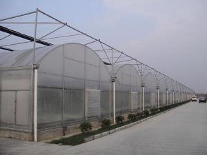 棚膜连栋大棚