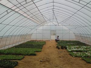 蔬菜大棚
