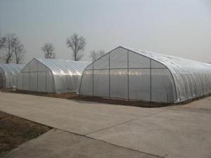 蔬菜大棚
