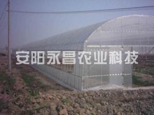 蔬菜大棚