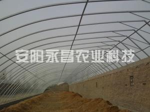 几字钢大棚