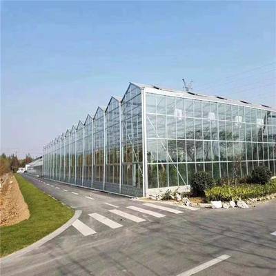 【玻璃温室大棚建设 玻璃温室大棚造价图片】玻璃温室大棚建设 玻璃温室大棚造价